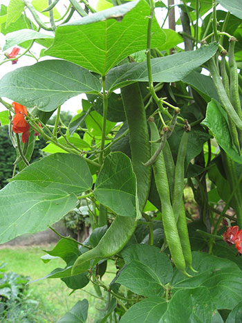 Suporte é Fundamental: Entendendo a Necessidade de Tutores - inspiração 1