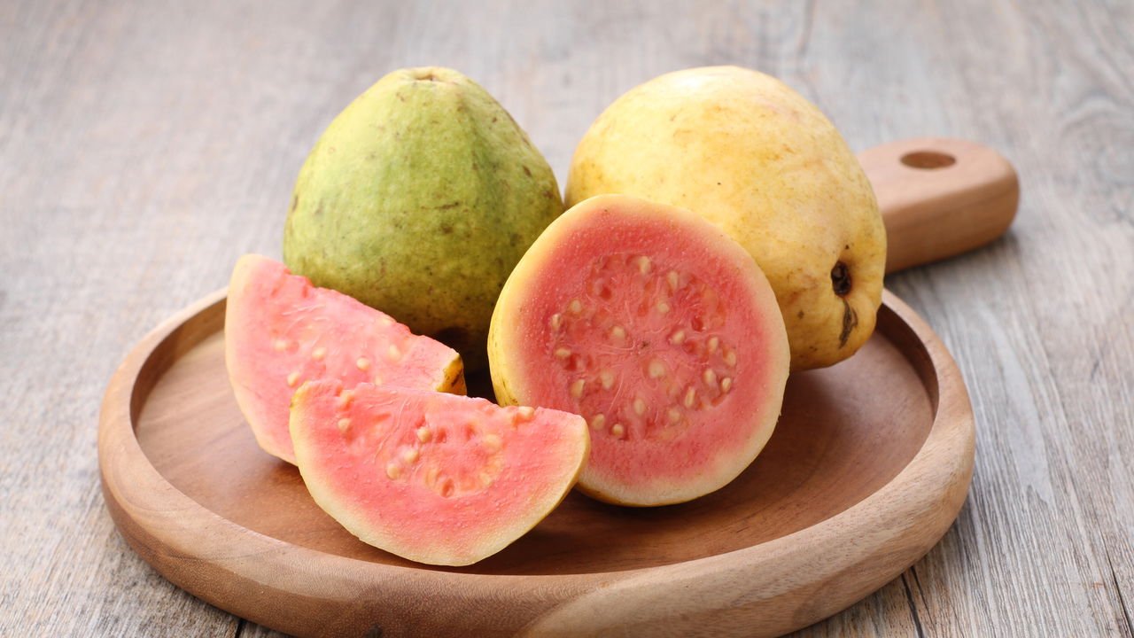 Identificando os Primeiros Sinais da Mosca-da-Goiaba - inspiração 1