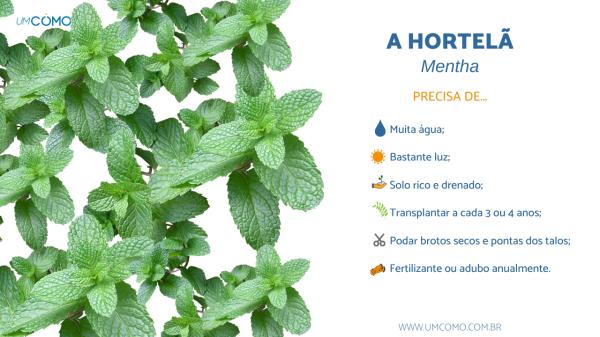 Controlando Pragas Sem Químicos Agressivos - inspiração 1