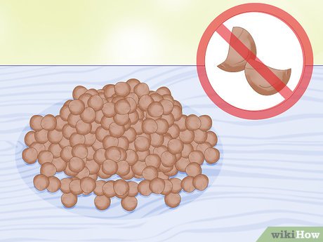 Dicas de Ouro do Agricultor: Truques para Maximizar Sua Produção - inspiração 1