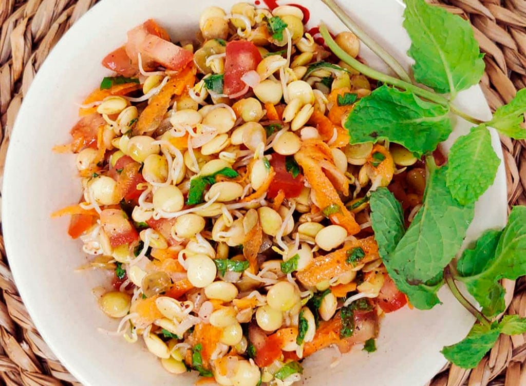 Pragas e Doenças: Como Proteger Seu Cultivo Caseiro - inspiração 2