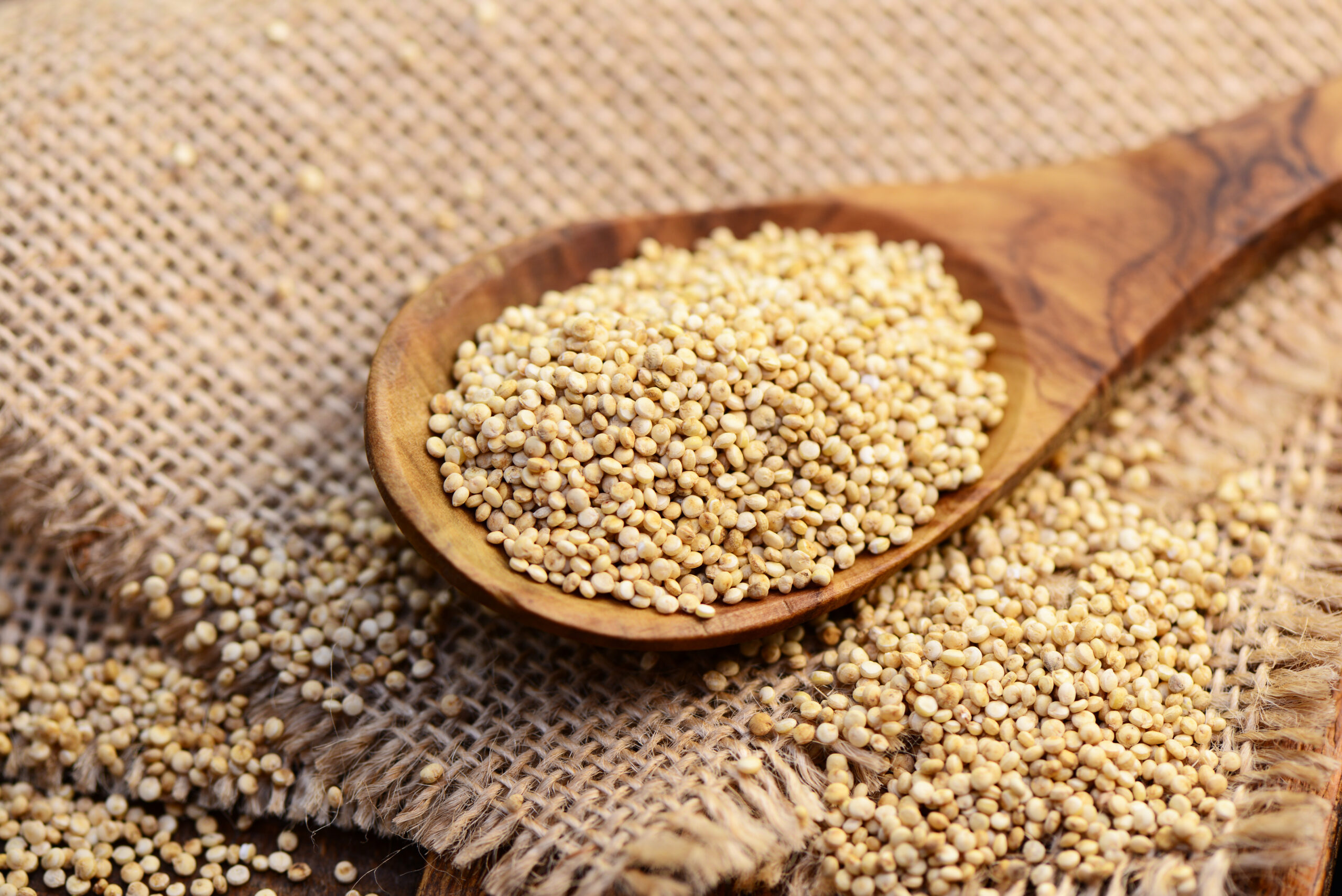 Processamento Pós-Colheita: Do Campo Para Sua Mesa - inspiração 1