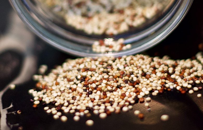 Controle de Pragas e Doenças Sem Químicos - inspiração 2