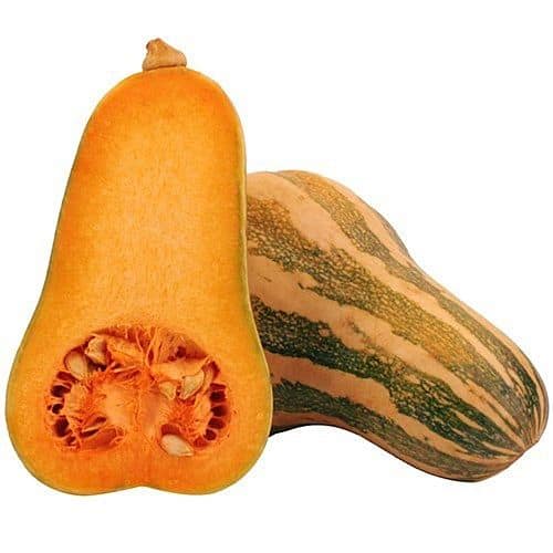 Germinação: O Milagre Acontecendo Diante dos Seus Olhos - inspiração 2