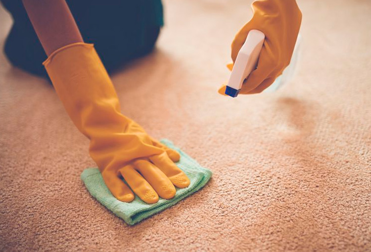 O Processo de Enxágue: Removendo Resíduos de Limpeza Eficazmente - inspiração 1