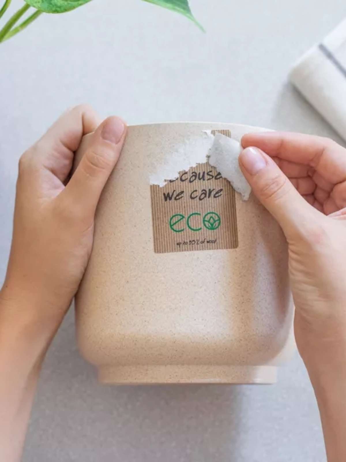 Vinagre Branco: O Ácido Suave Que Dissolve o Grude - inspiração 1