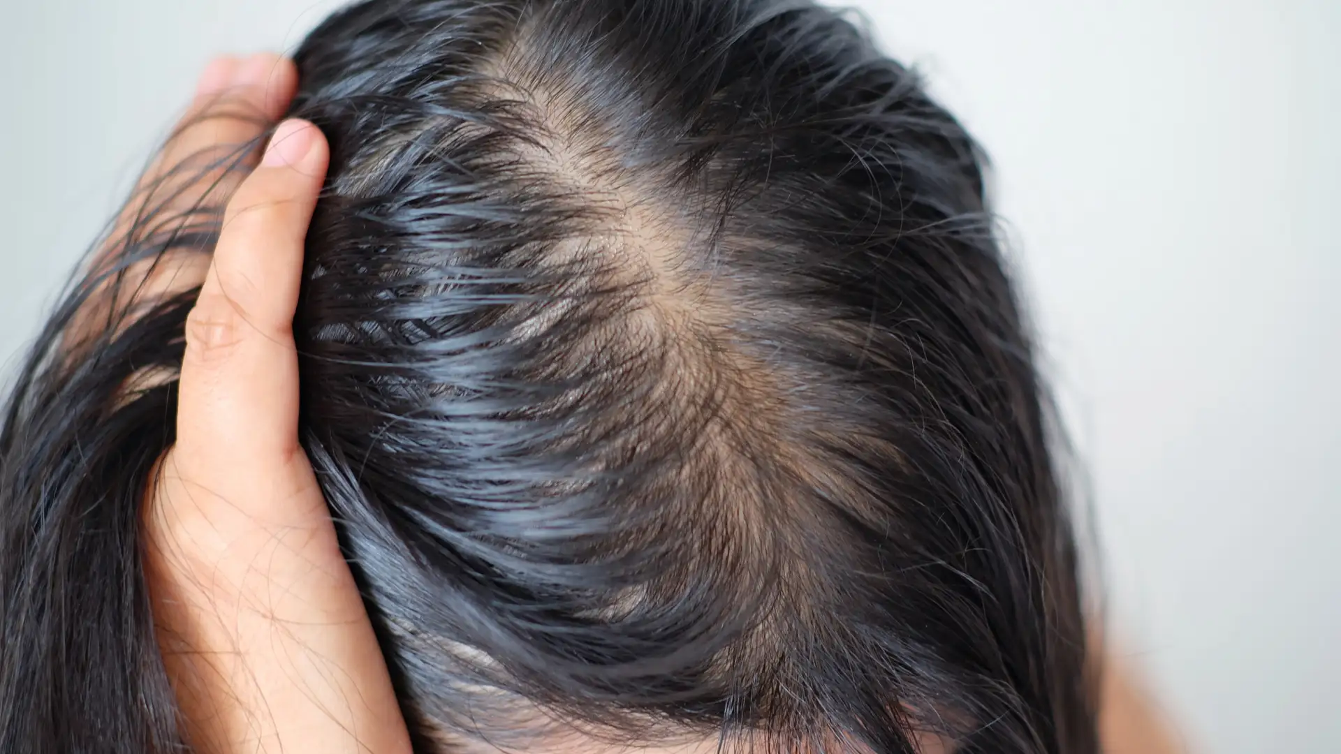 Babosa (Aloe Vera): Hidratação sem Pesar e Ação Calmante - inspiração 1