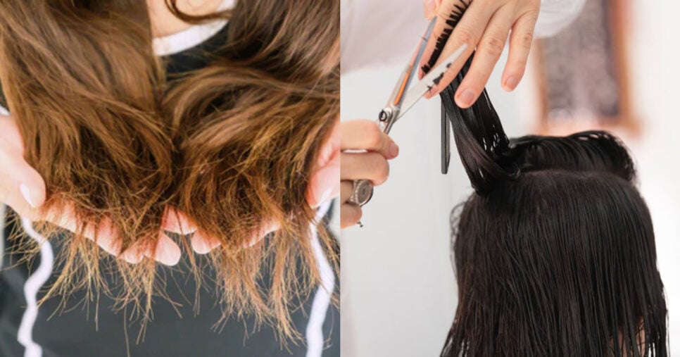 A Escova Certa Faz Toda a Diferença: Cuidado ao Pentear - inspiração 1