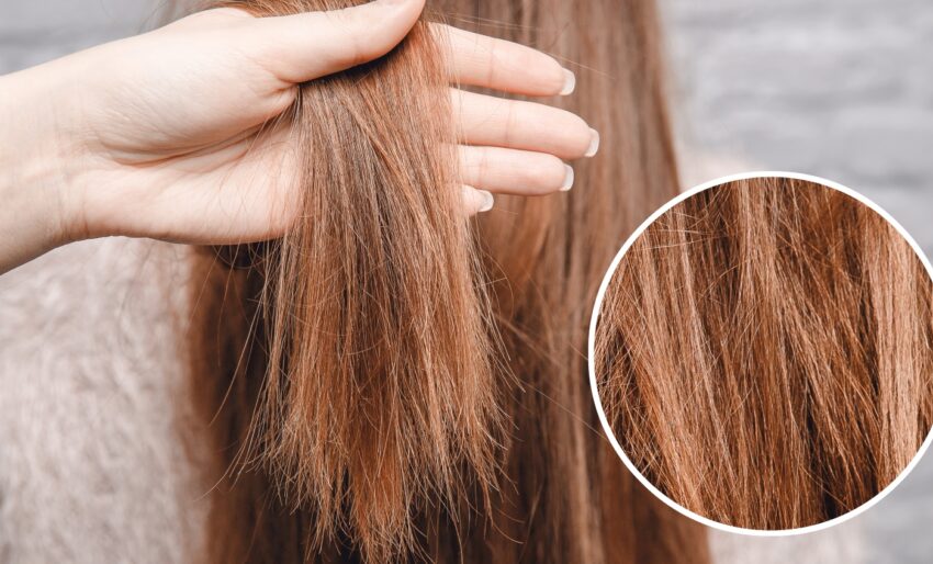 Corte Estratégico: A Solução Imediata e Preventiva - inspiração 2