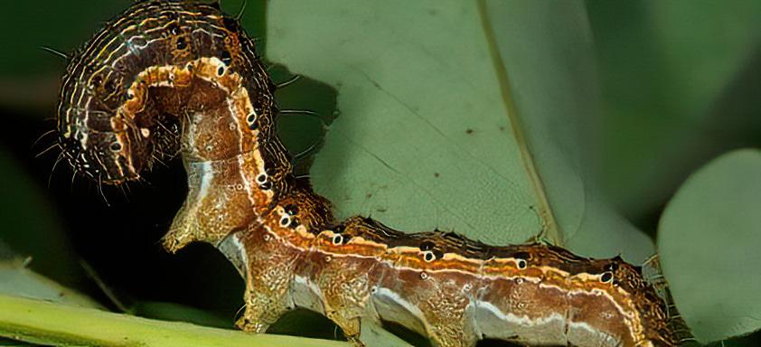 Quando Chamar o 'Especialista': Identificando a Hora de Intervir Mais Fortemente - inspiração 1