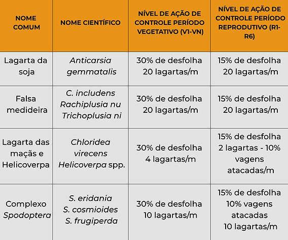 Manejo Integrado: A Combinação de Estratégias é a Chave - inspiração 1