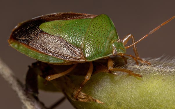 Ferramentas Essenciais: O Que Você Precisa Ter à Mão - inspiração 2