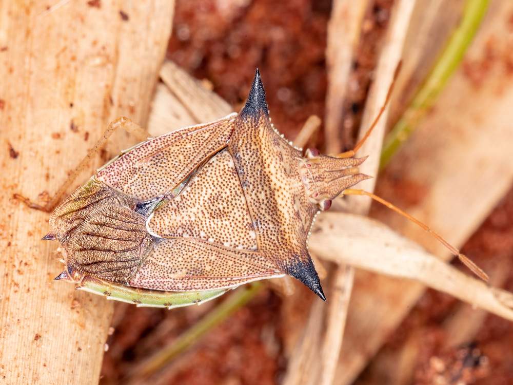 Produtos de Controle: Quando o Assunto Fica Sério - inspiração 2