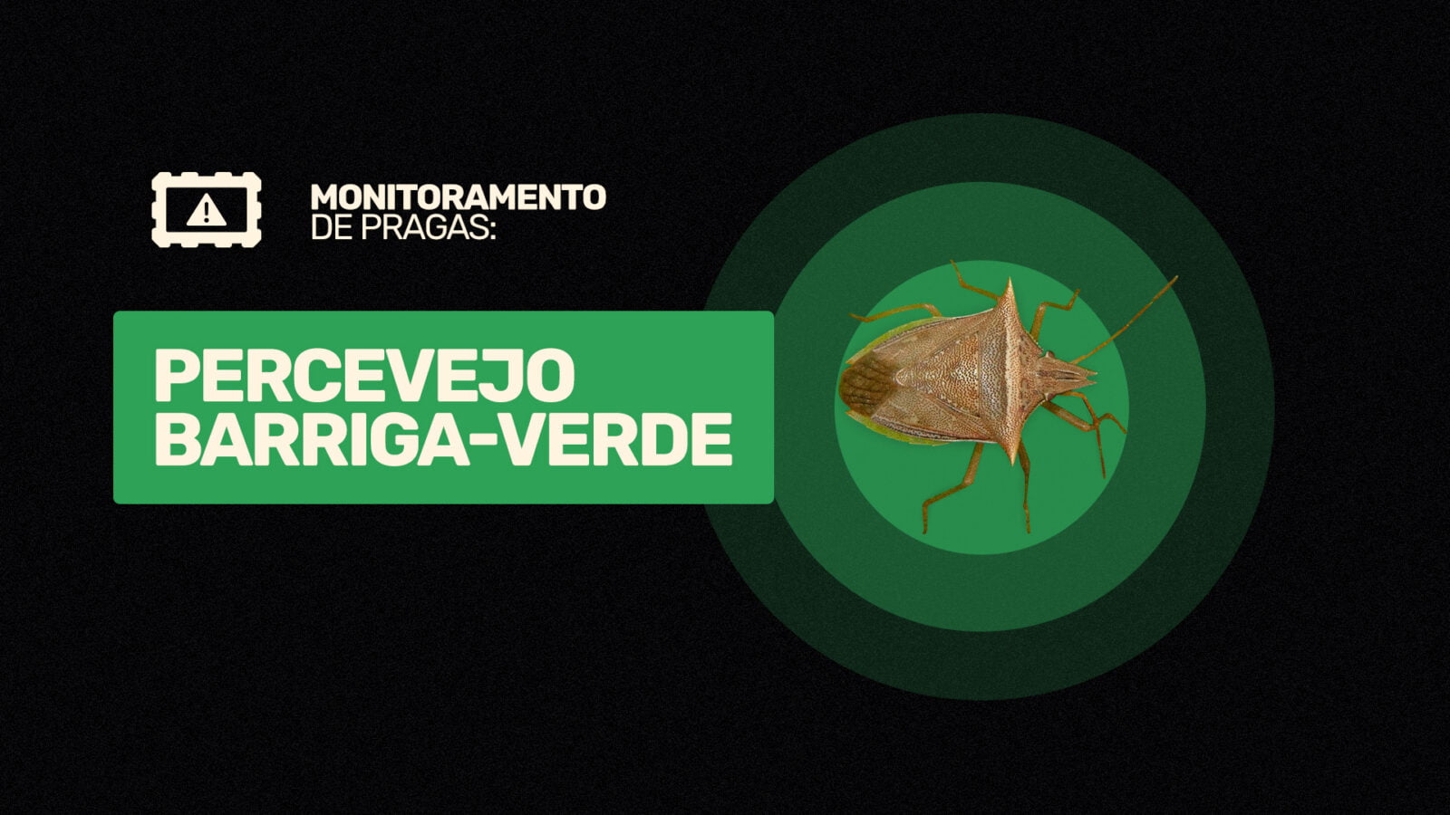 Prevenção é a Chave: Como Evitar Novas Infestações - inspiração 2