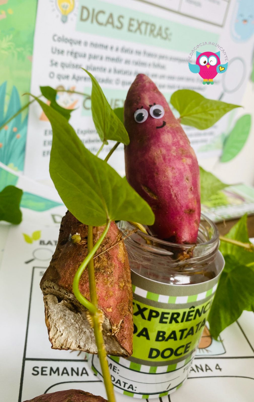 A Lagarta Faminta: Sinais de Alerta e Métodos para Eliminá-la - inspiração 2