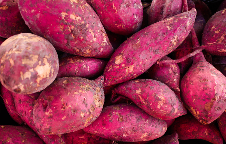 Lesmas e Caracóis: Os Noturnos Devoradores e Como Contê-los - inspiração 1