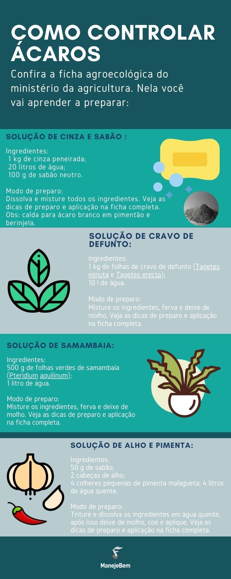 Ácaros Comuns em Pimenteiras: Quem São e Como Agem - inspiração 2