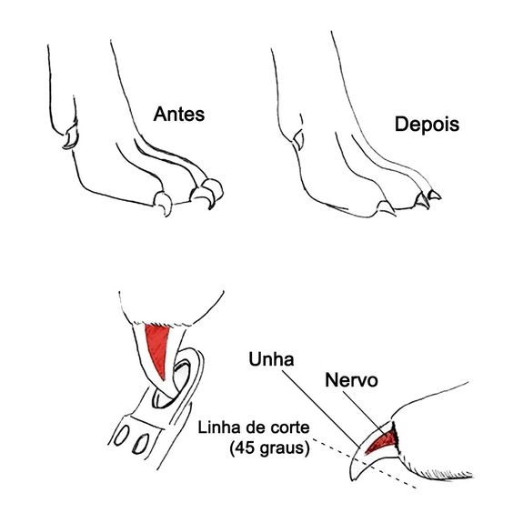 O que você vai precisar: ferramentas certas para o trabalho - inspiração 1