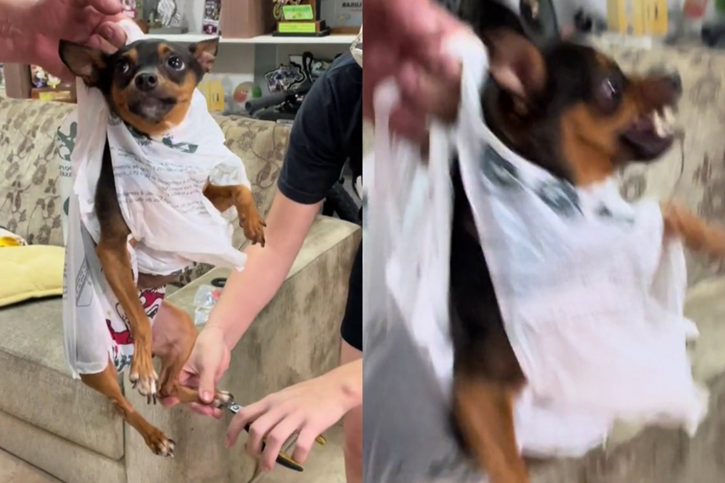 Como identificar o 'nervo' da unha e evitar sangramentos - inspiração 1