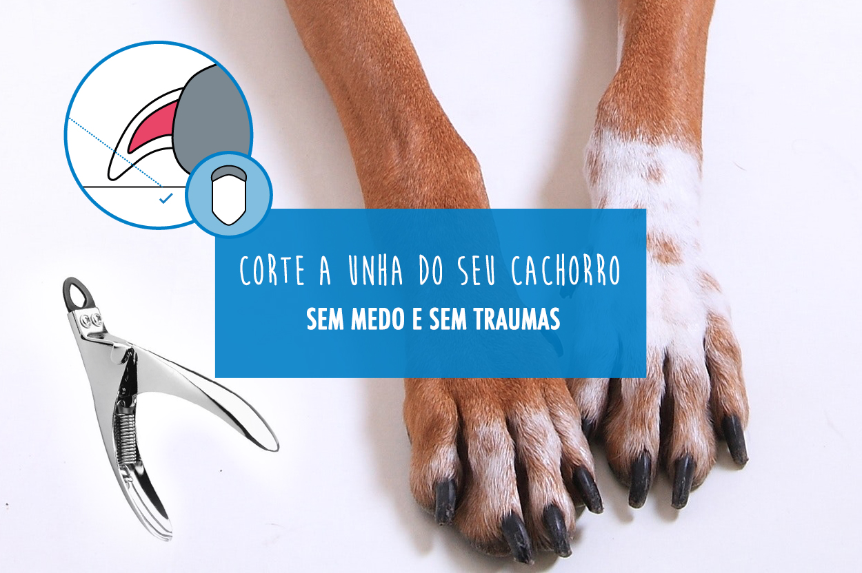 O que fazer se houver sangramento: primeiros socorros rápidos - inspiração 2