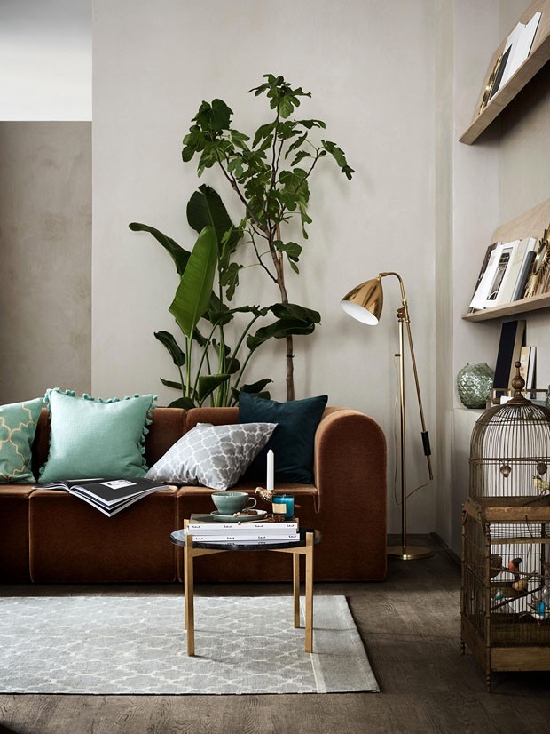 Plantas: Vida e Frescor Para Sua Sala - inspiração 2