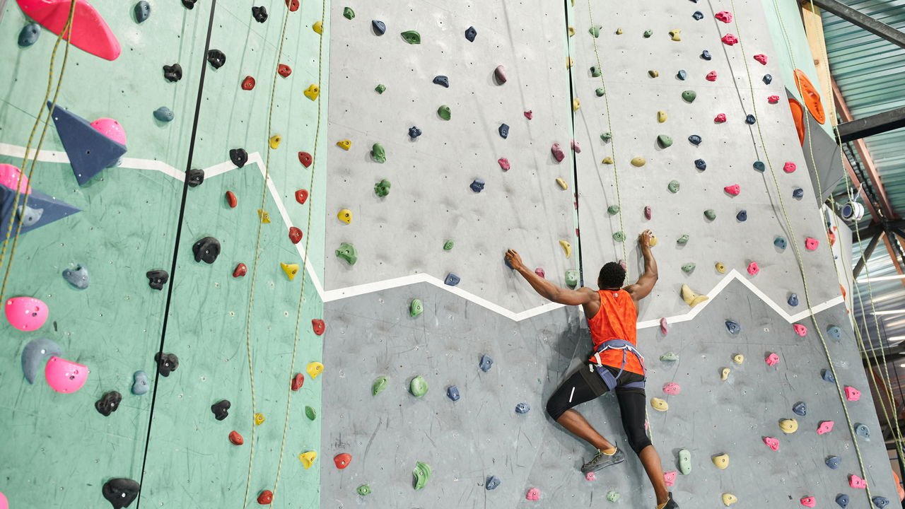 Entendendo o Básico: Equipamentos Indispensáveis - inspiração 1