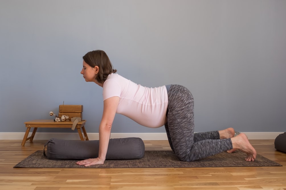 A importância da consistência e paciência - inspiração 1