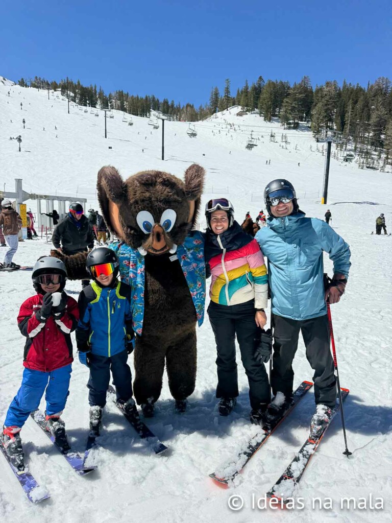 A Importância da Postura Correta: Equilíbrio é Tudo no Esqui - inspiração 2