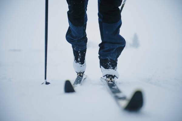 Segurança em Primeiro Lugar: Conheça os Sinais e Cuidados Básicos - inspiração 1