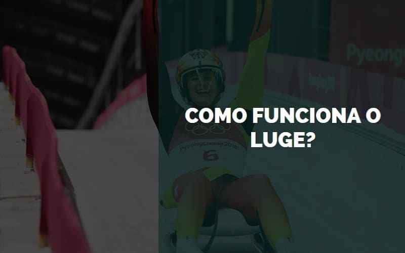 Técnicas Básicas de Condução do Trenó - inspiração 1