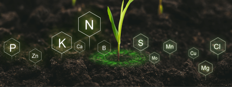 Primeiro Passo: Reúna Toda a Documentação do Imóvel - inspiração 2