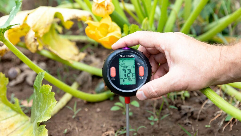 Segundo Passo: Pesquise o Mercado na Sua Região - inspiração 1