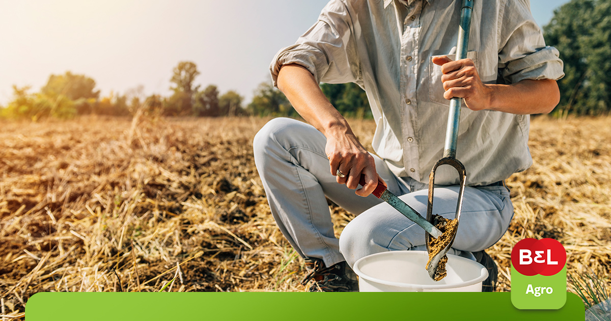 Terceiro Passo: Avalie as Características Físicas da Sua Propriedade - inspiração 1