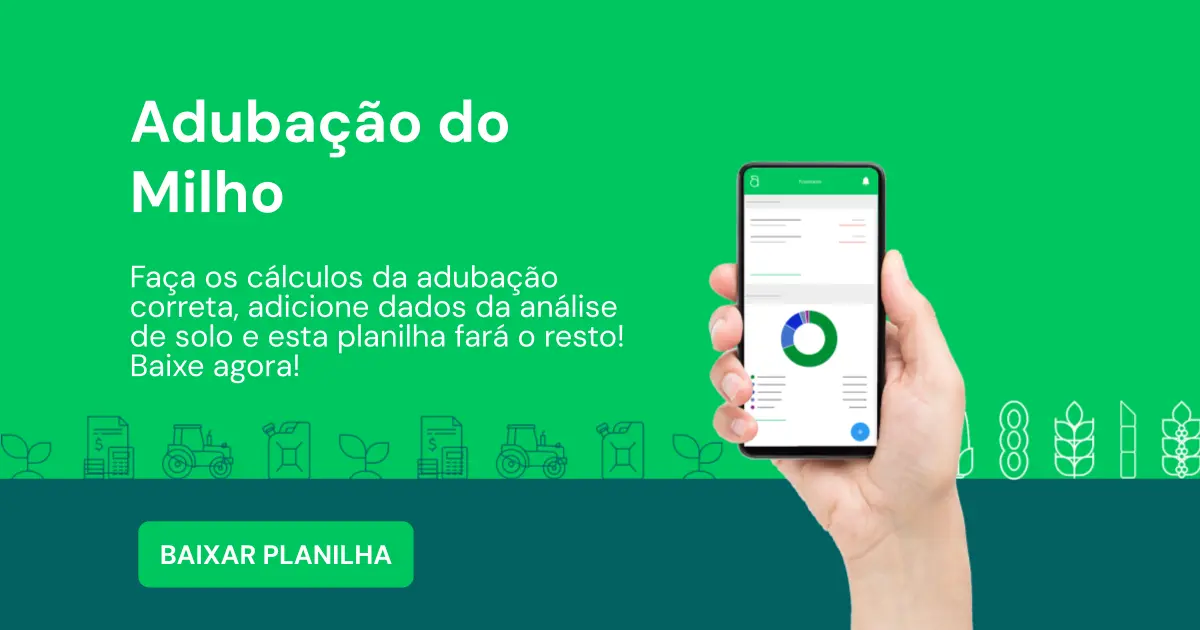 Terceiro Passo: Avalie as Características Físicas da Sua Propriedade - inspiração 2