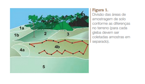 Quarto Passo: Considere as Condições Atuais do Mercado Imobiliário - inspiração 1