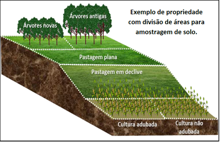 Quinto Passo: Use Ferramentas Online e Calculadoras de Avaliação - inspiração 1