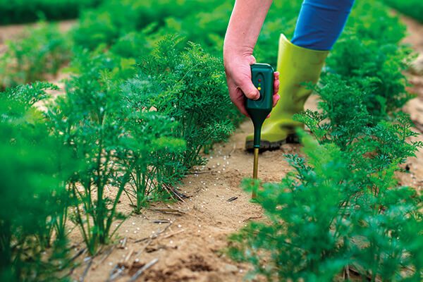 Sexto Passo: Faça um Comparativo com Imóveis Semelhantes Vendidos - inspiração 1