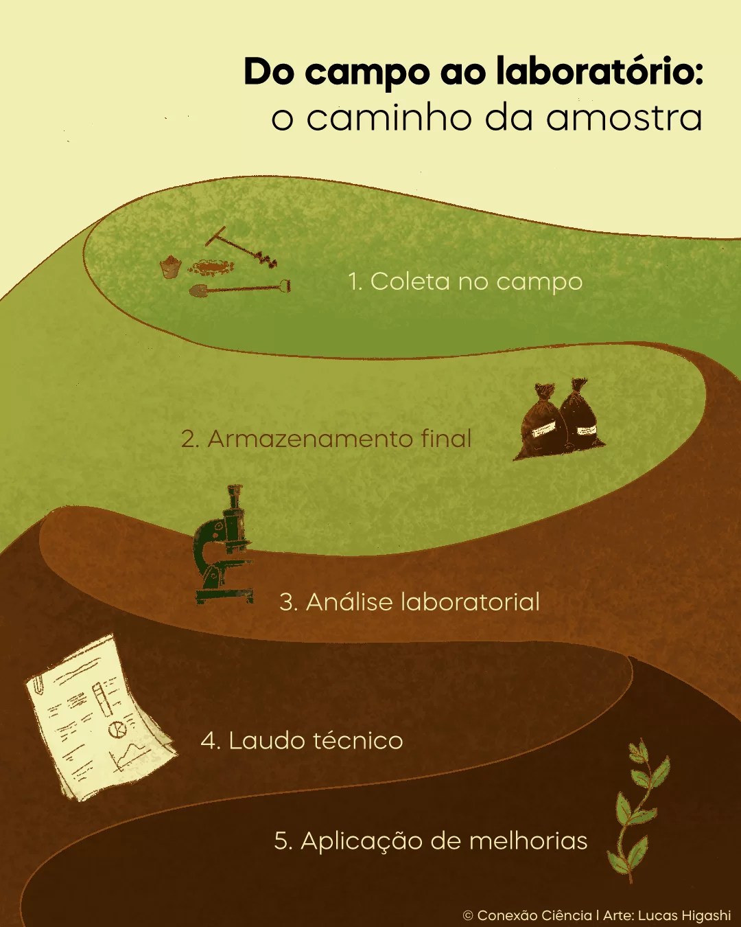 Sétimo Passo: Ajuste Seu Valor Baseado nas Suas Observações - inspiração 1