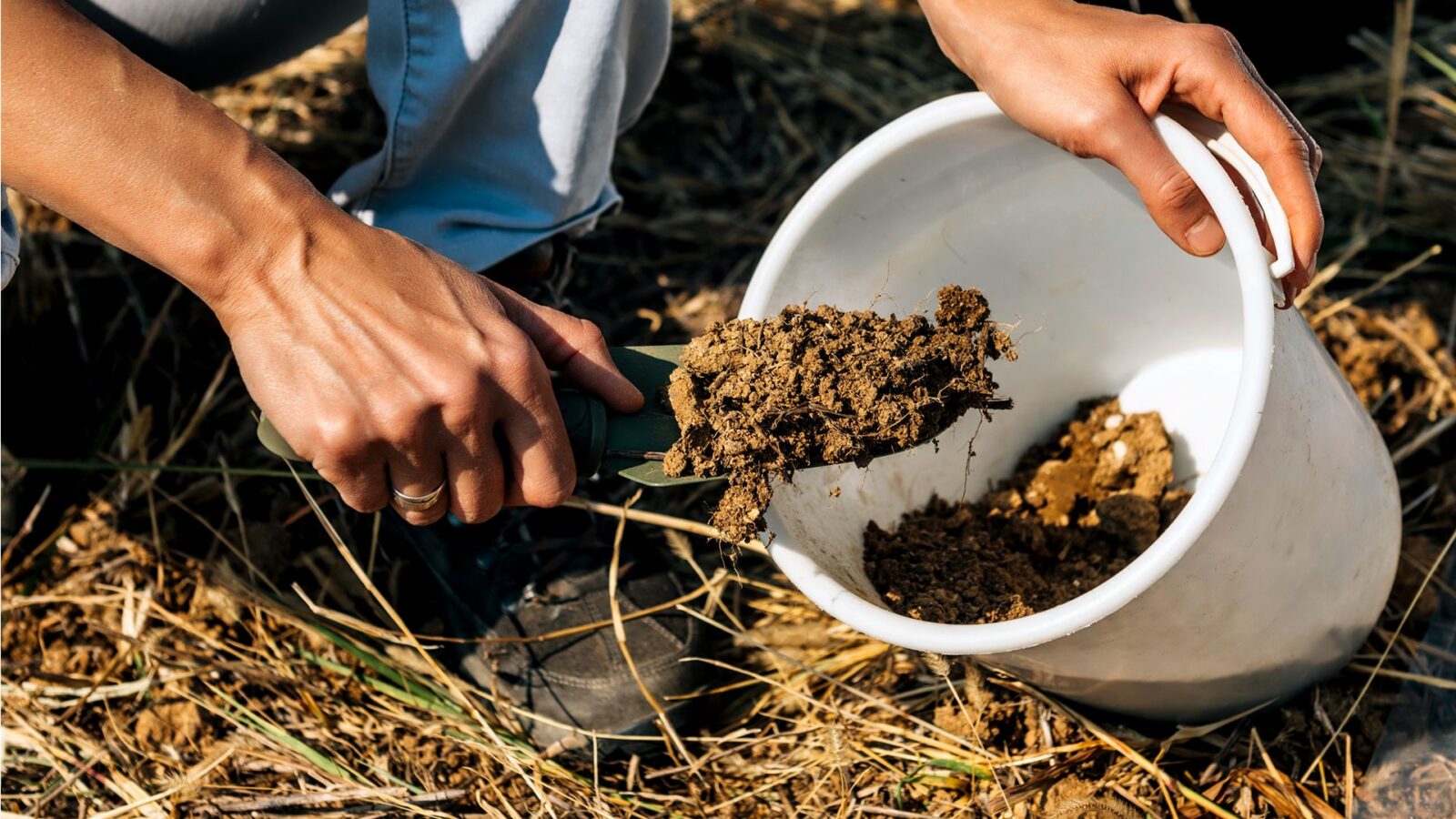 Sétimo Passo: Ajuste Seu Valor Baseado nas Suas Observações - inspiração 2