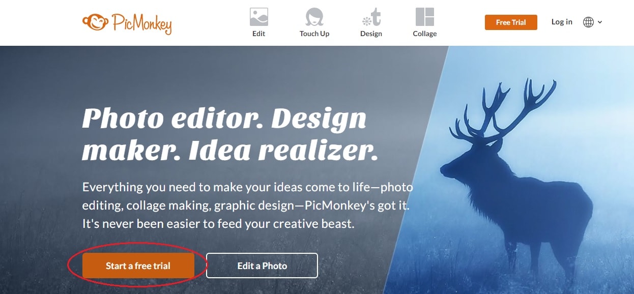 Elementos Visuais Essenciais: Fotos e Gráficos de Alto Impacto - inspiração 2