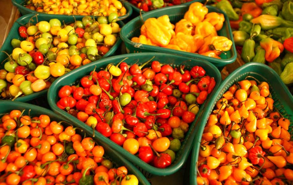 Barracas de Frutas: Frescor e Vitaminas do Cerrado - inspiração 1