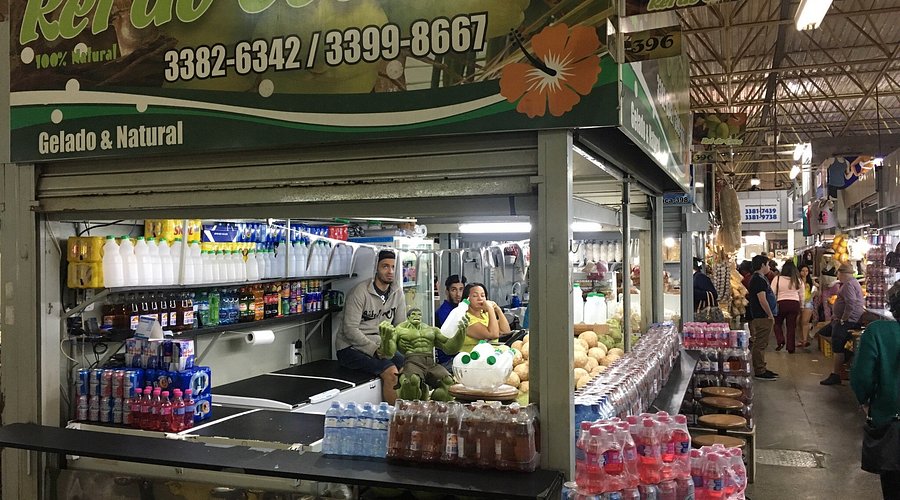 Plantas e Flores: Um Toque de Verde Para Seu Lar - inspiração 1