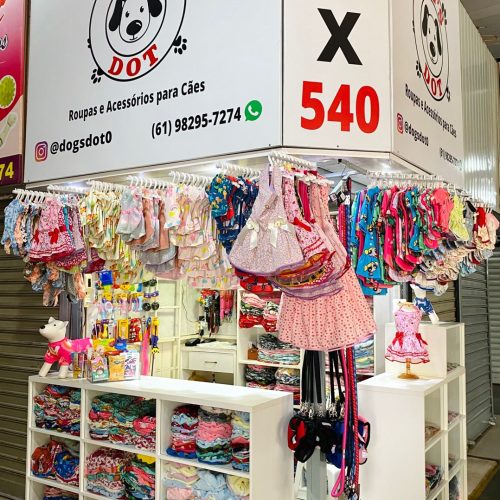 Plantas e Flores: Um Toque de Verde Para Seu Lar - inspiração 2