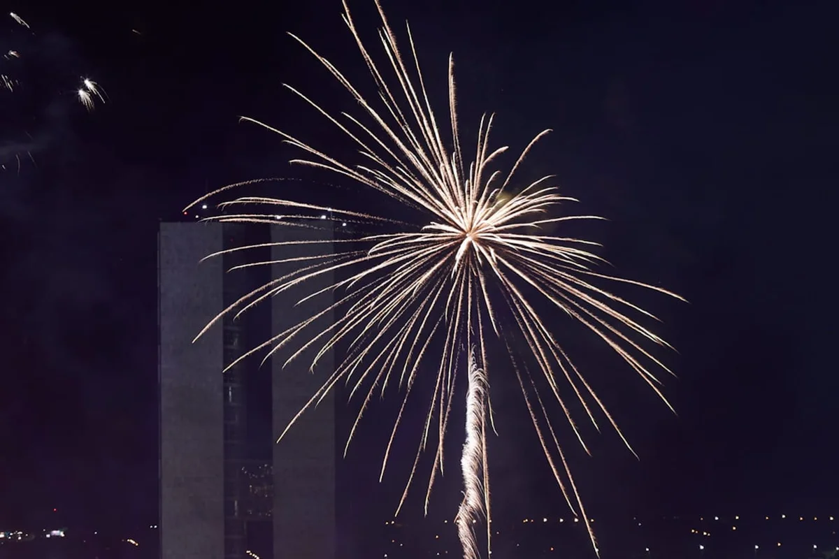 Cores que Encantam: A Arte Pirotécnica em Detalhes - inspiração 1