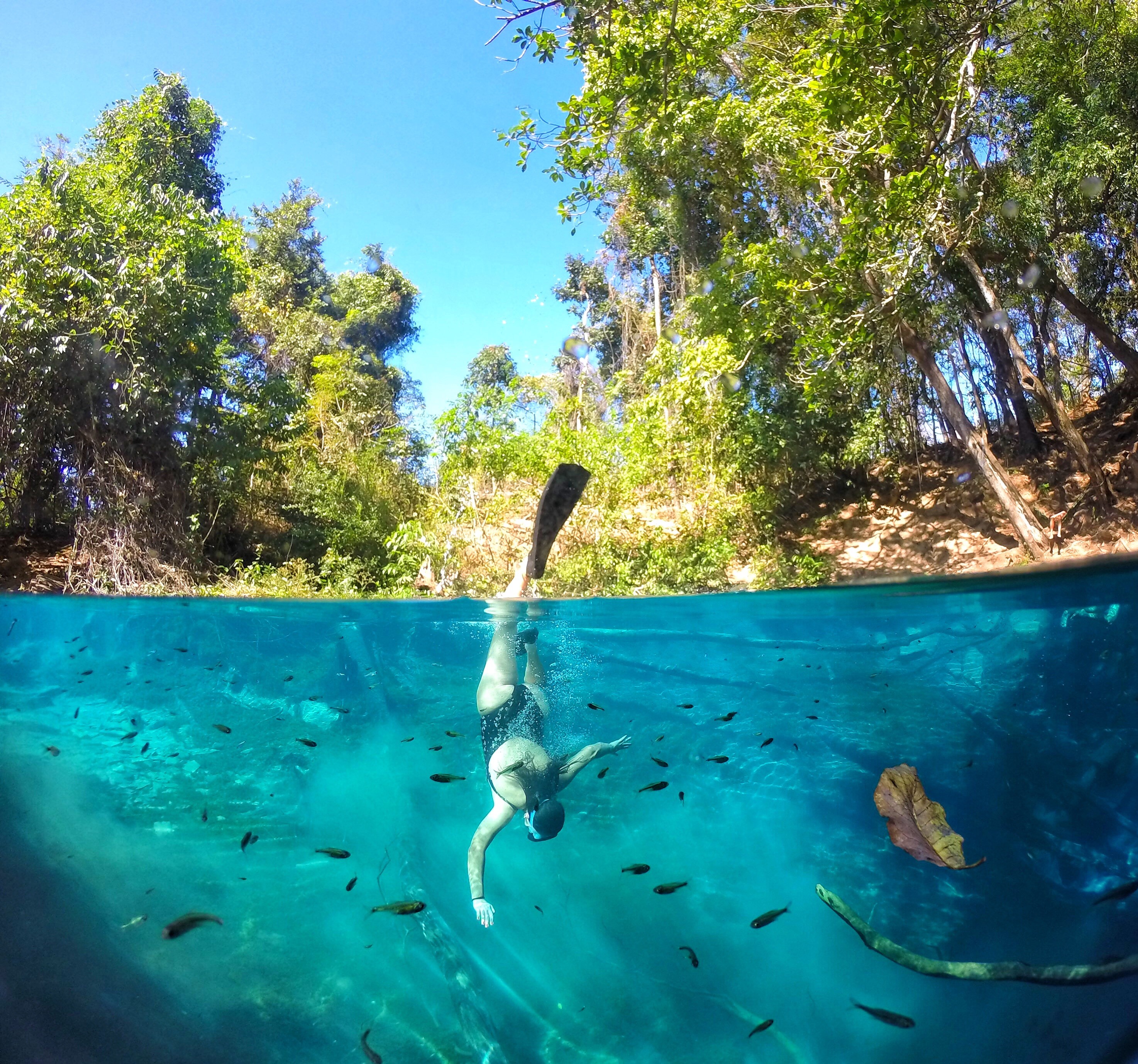 Gastronomia Goiana: Sabores que Encantam e Fidelizam - inspiração 2