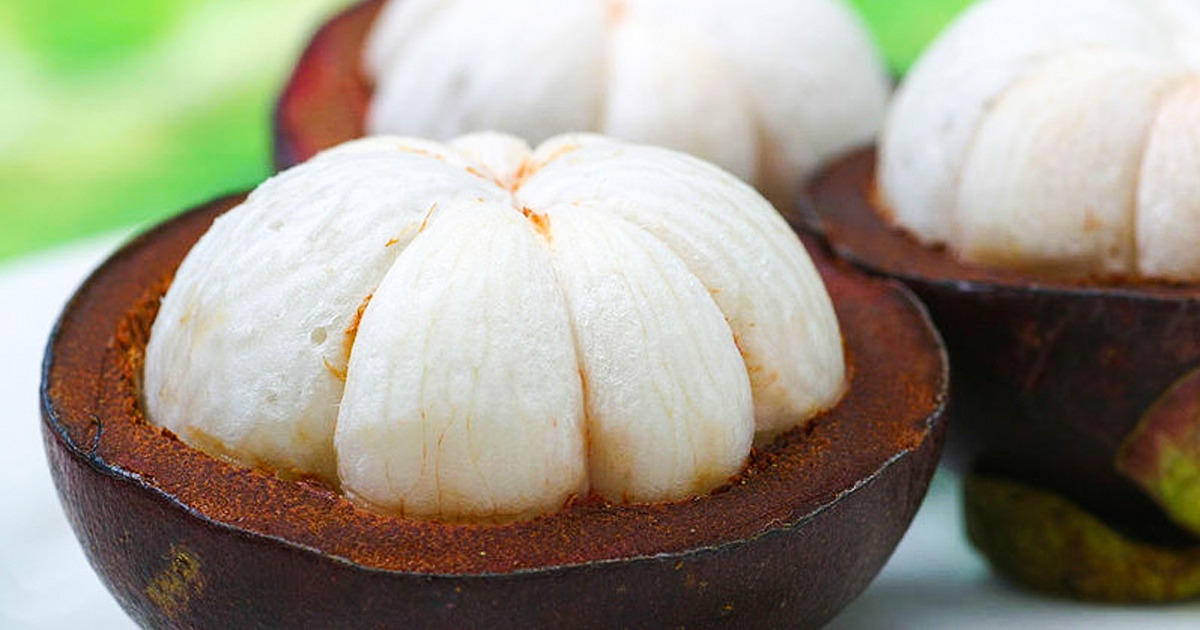 Morangos: Os Campeões Versáteis Para o Seu Pomar de Altitude - inspiração 2