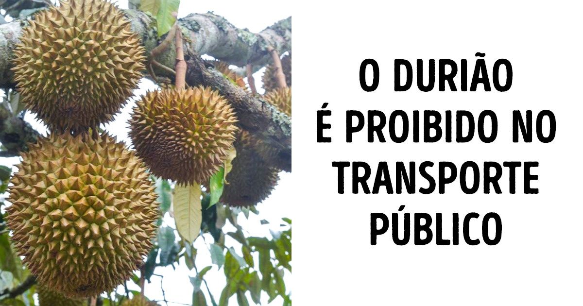 Arando (Vaccinium spp.): Um Tesouro Antioxidante Que Prospera em Solos Ácidos e Climas Frios - inspiração 1