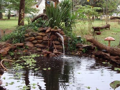 Dicas para Levar Crianças e Iniciantes em Haras - inspiração 2