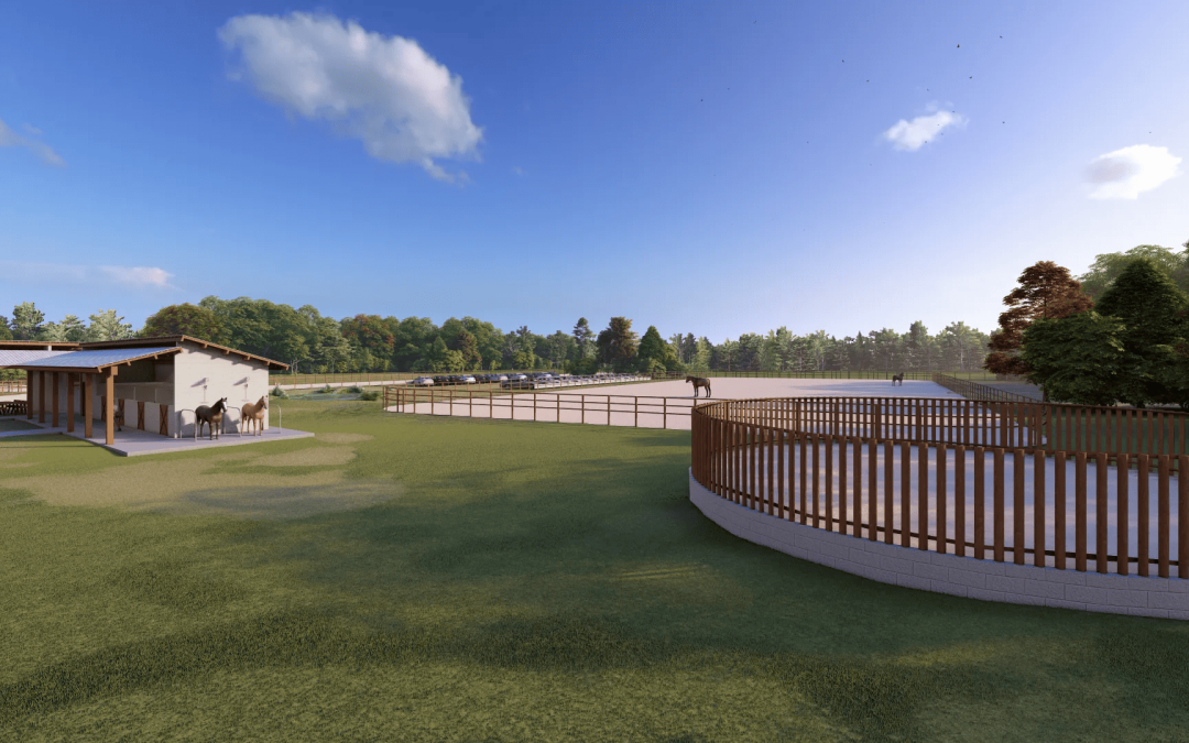 Aulas de Equitação: Dando os Primeiros Passos com Confiança - inspiração 1