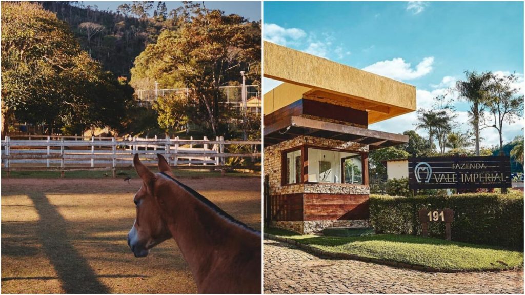 Passeios Guiados: Rotas Cênicas e Aventura - inspiração 2